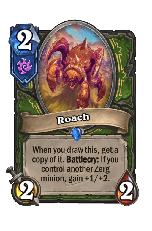 Roach
