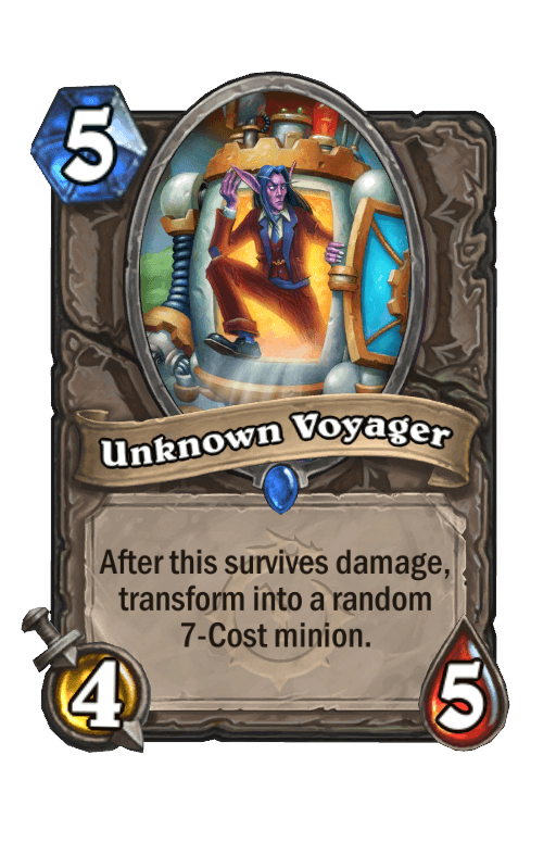 Unknown Voyager