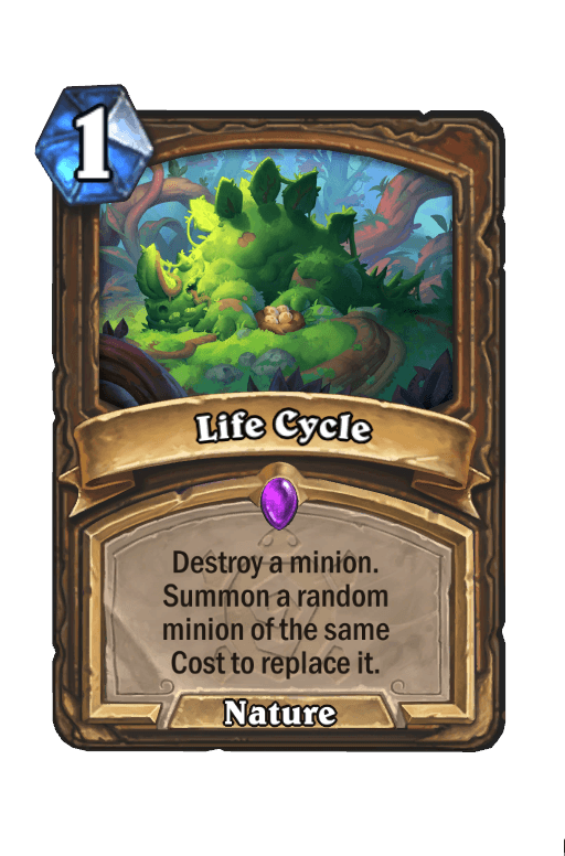 Life Cycle