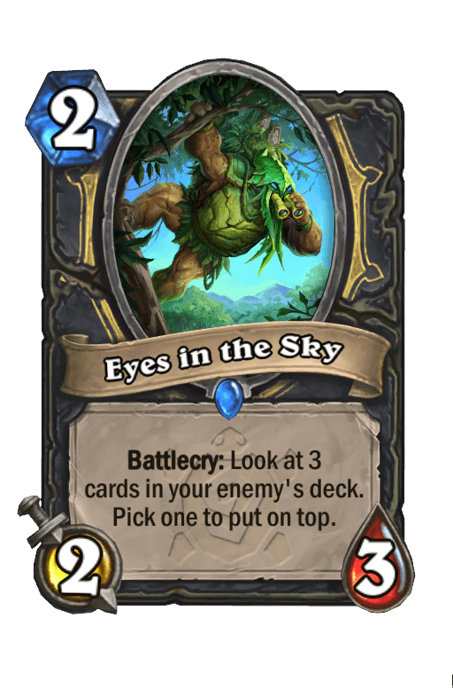 Eyes in the Sky