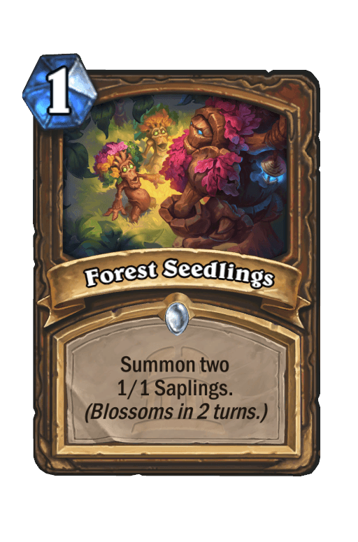 Forest Seedlings