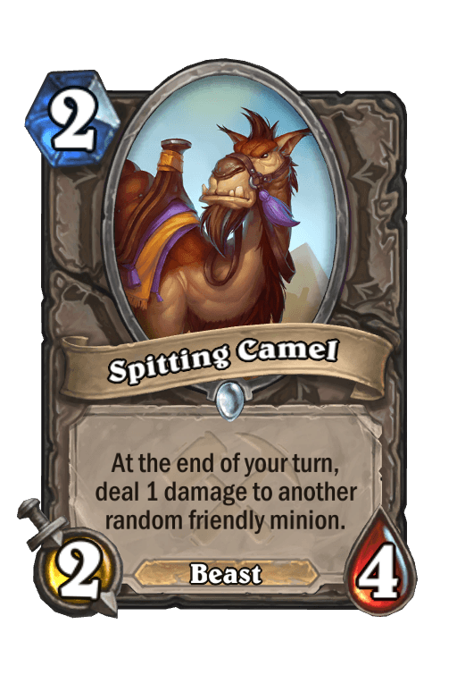 Spitting Camel