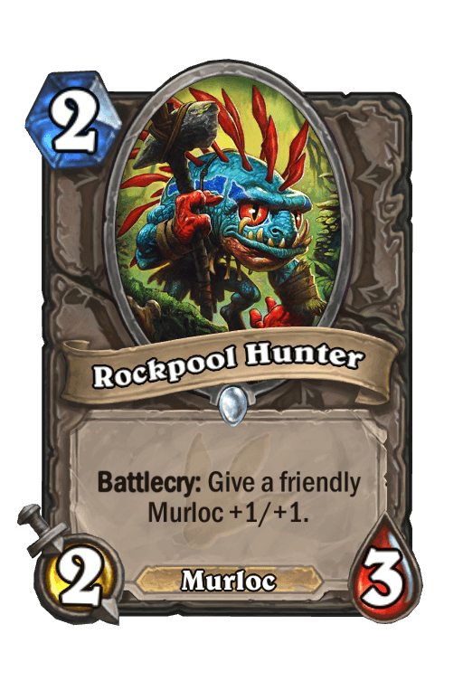 Rockpool Hunter