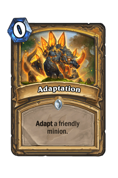 Adaptation