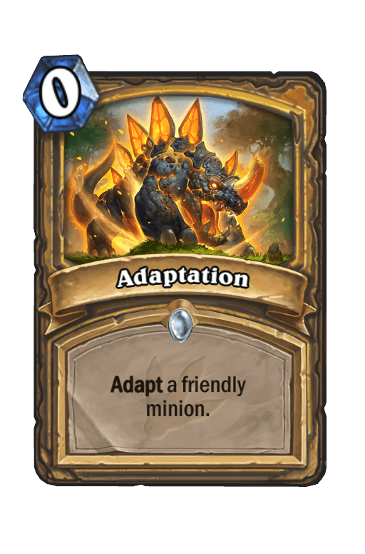 Adaptation