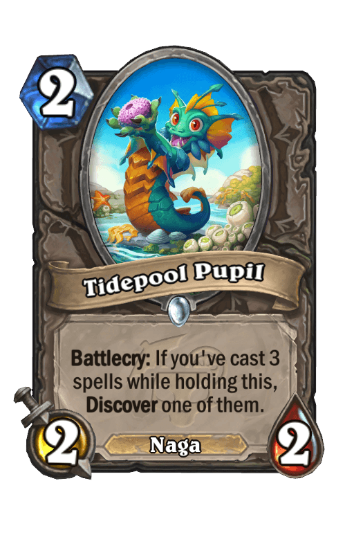 Tidepool Pupil