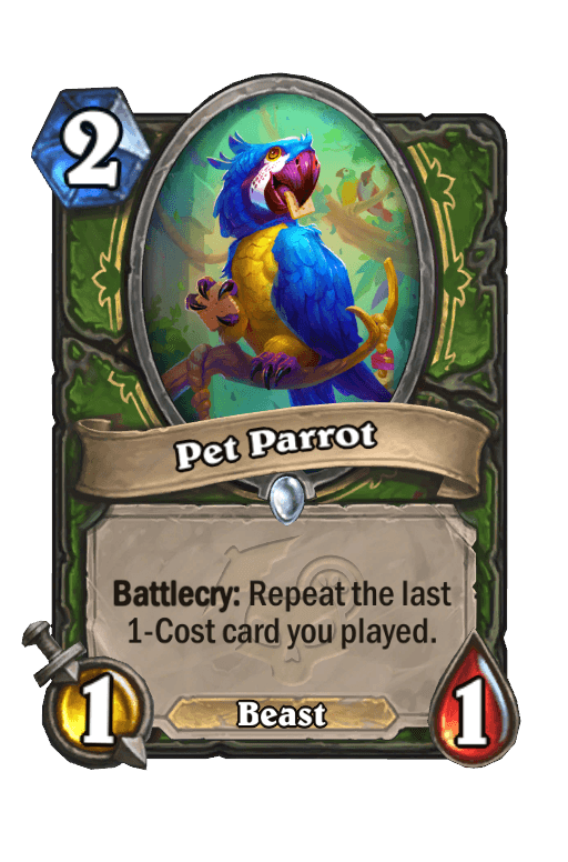 Pet Parrot