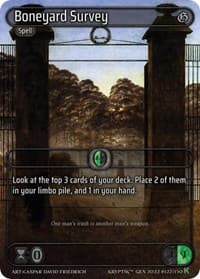 Boneyard Survey