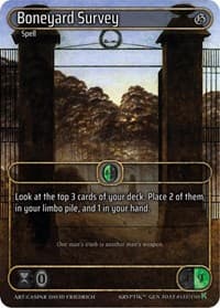 Boneyard Survey (Box Topper)