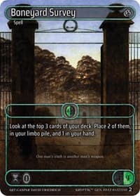 Boneyard Survey (Box Topper)