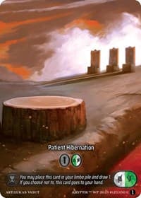 Patient Hibernation (Box Topper) (Glass Foil)