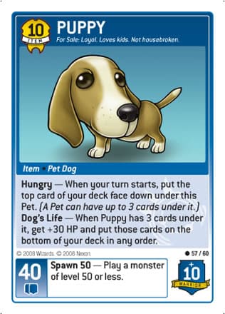Puppy