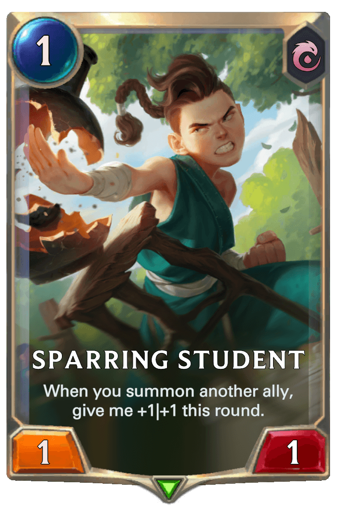 Sparring Student