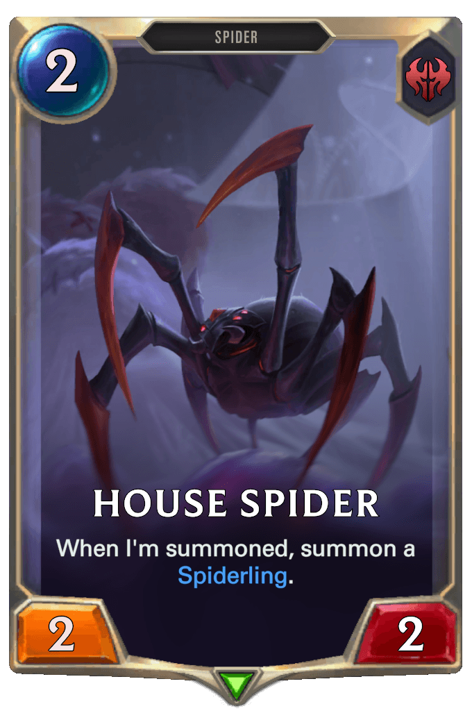 House Spider