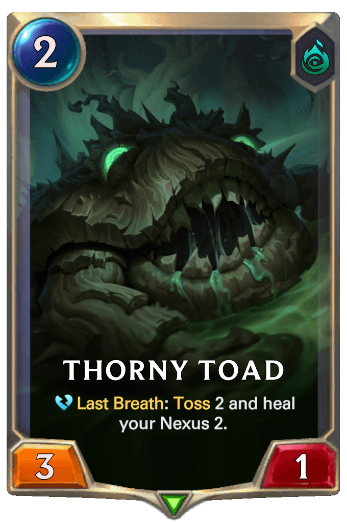 Thorny Toad