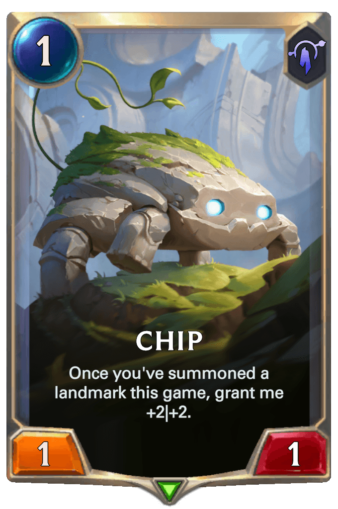 Chip