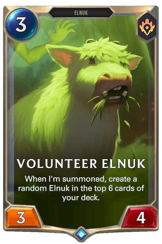 Volunteer Elnuk