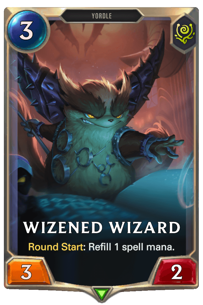 Wizened Wizard