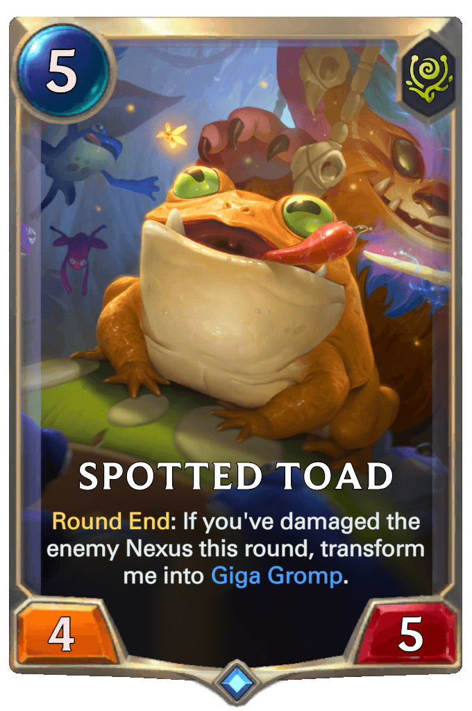 Spotted Toad