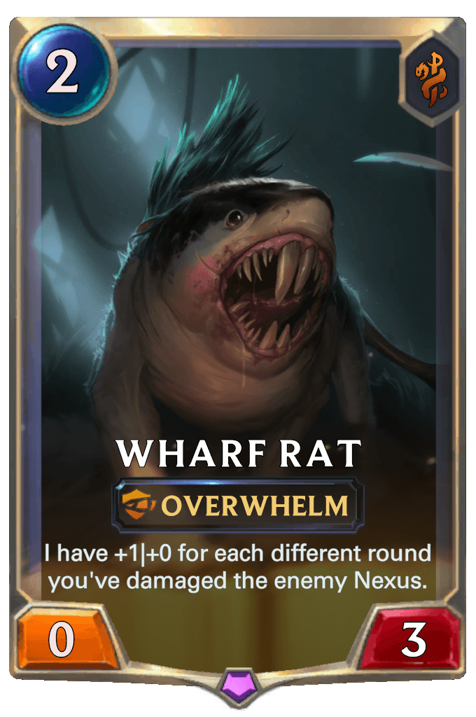 Wharf Rat