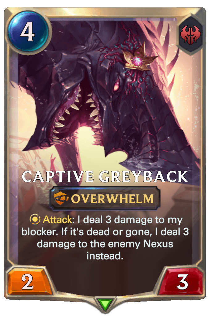 Captive Greyback