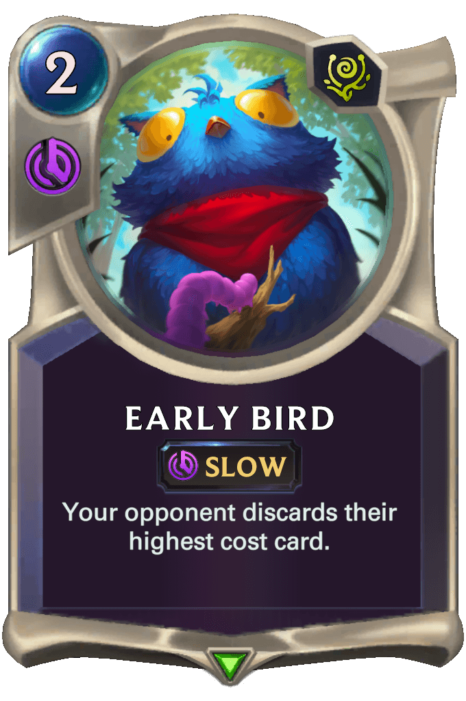 Early Bird