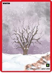 Winter