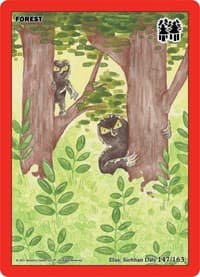 Forest