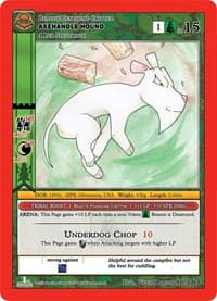 Axehandle Hound