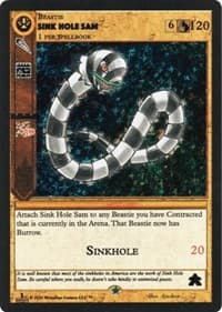 Sink Hole Sam