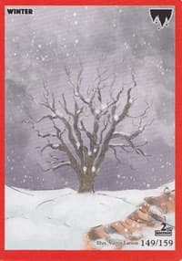 Winter