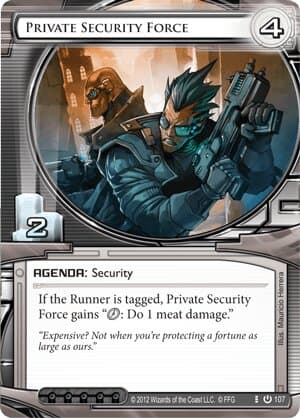 Private Security Force