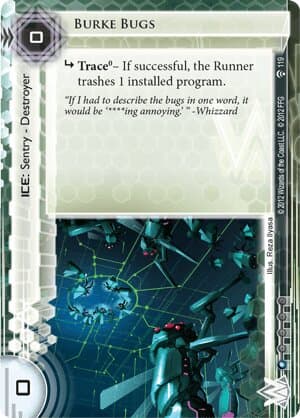 Burke Bugs