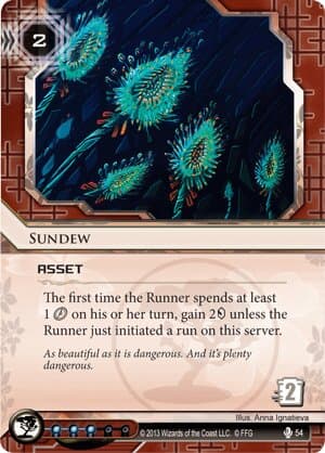 Sundew