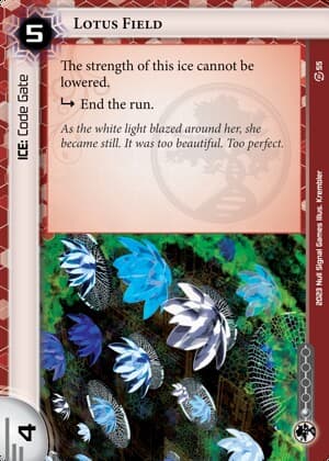 Lotus Field