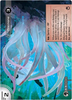 Anemone