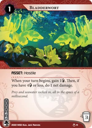 Bladderwort