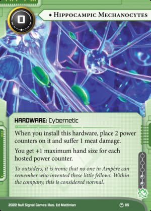 Hippocampic Mechanocytes