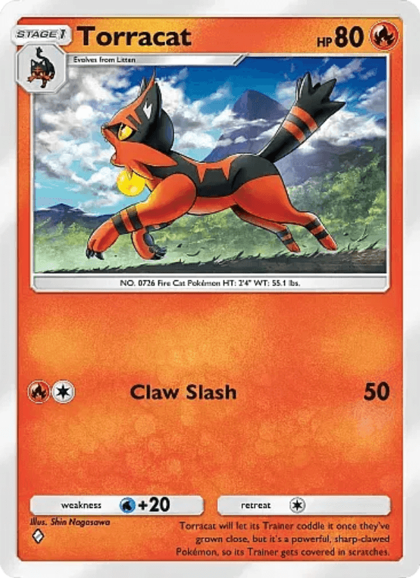 Torracat