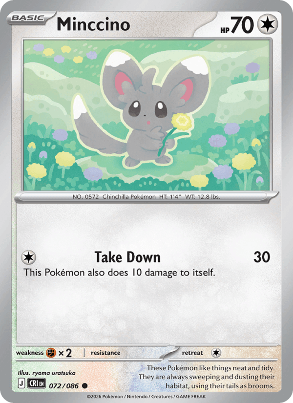 Minccino