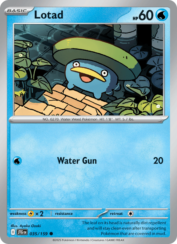 Lotad