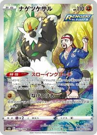 Passimian - 203/184