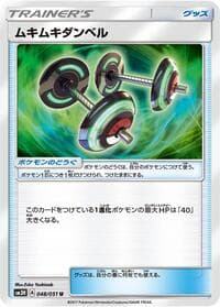 Bodybuilding Dumbbells - 048/051