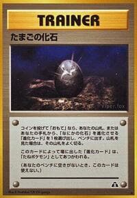 Fossil Egg