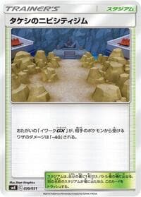 Brock's Pewter City Gym