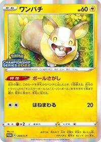 Yamper - 244/S-P