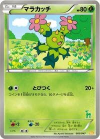 Maractus