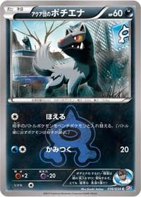 Team Aqua's Poochyena
