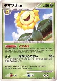 Sunflora