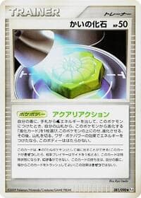 Helix Fossil